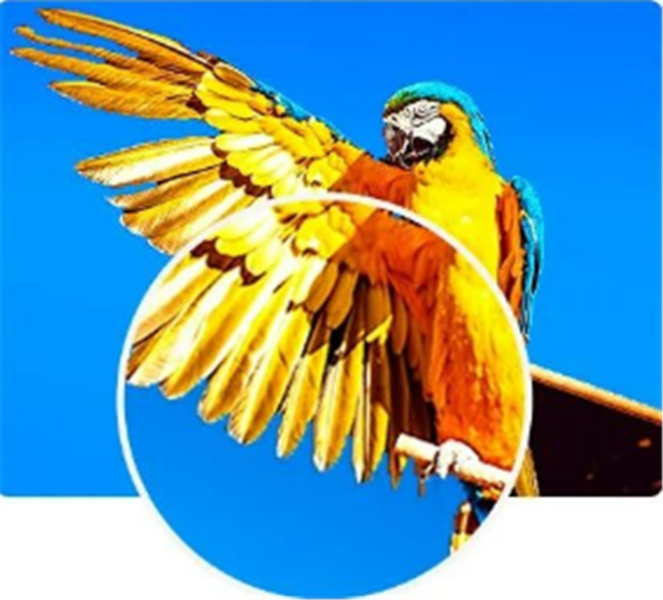 The Advantages Of Two In One LED Display Distribution System (9)